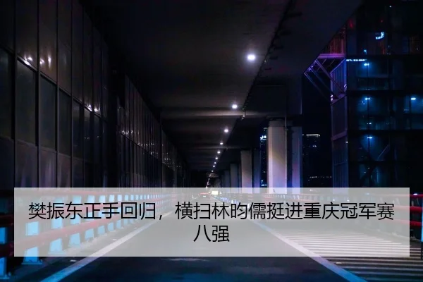 樊振东正手回归，横扫林昀儒挺进重庆冠军赛八强